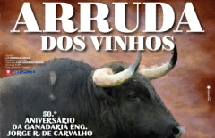 TAUROMAQUIA VIVIDA COM INTENSIDADE NA FEIRA TAURINA DE ARRUDA DOS VINHOS 2019